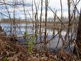 Lake Champlain Islands 004